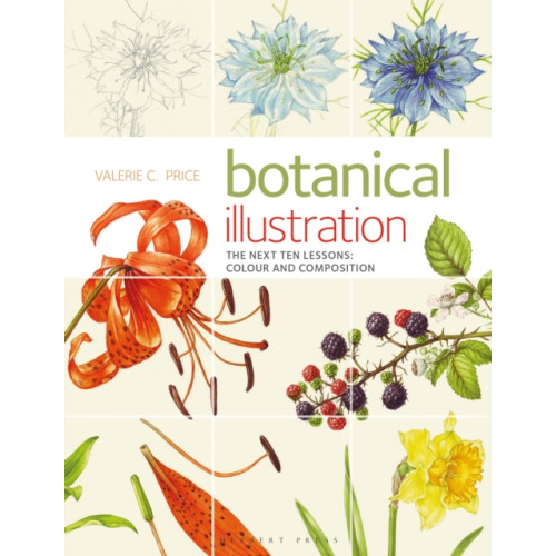 Bloomsbury Publishing PLC Botanical Illustration (häftad, eng)