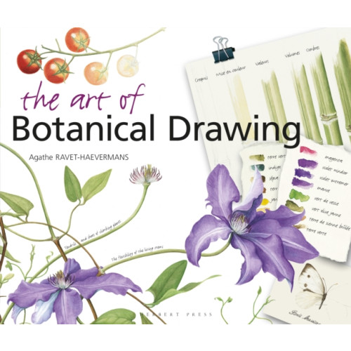 Bloomsbury Publishing PLC The Art of Botanical Drawing (häftad, eng)