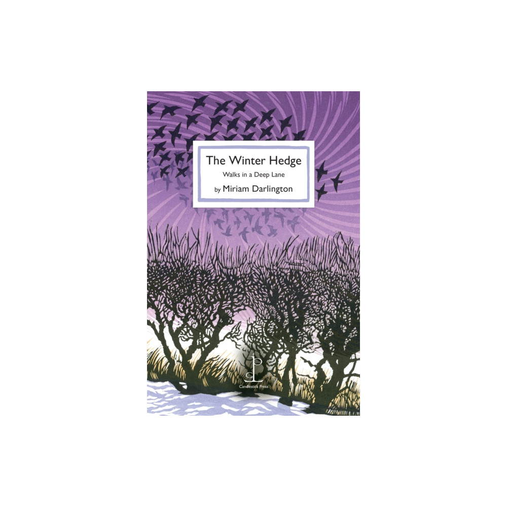 Produktbild för The Winter Hedge (häftad, eng)