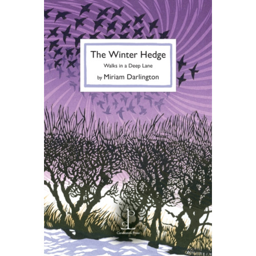 Candlestick Press The Winter Hedge (häftad, eng)