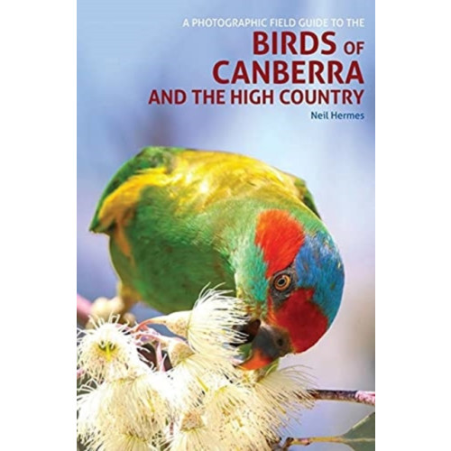 John Beaufoy Publishing Ltd A Photographic Field Guide to Birds of Canberra & the High Country (2nd ed) (häftad, eng)