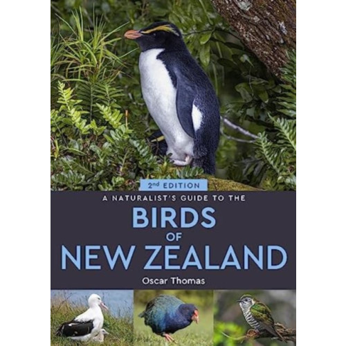 John Beaufoy Publishing Ltd A Naturalist's Guide to the Birds Of New Zealand (häftad, eng)