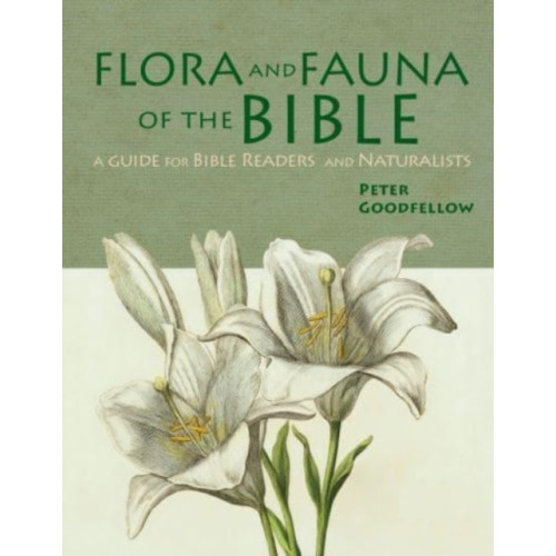 John Beaufoy Publishing Ltd Flora & Fauna of the Bible (inbunden, eng)