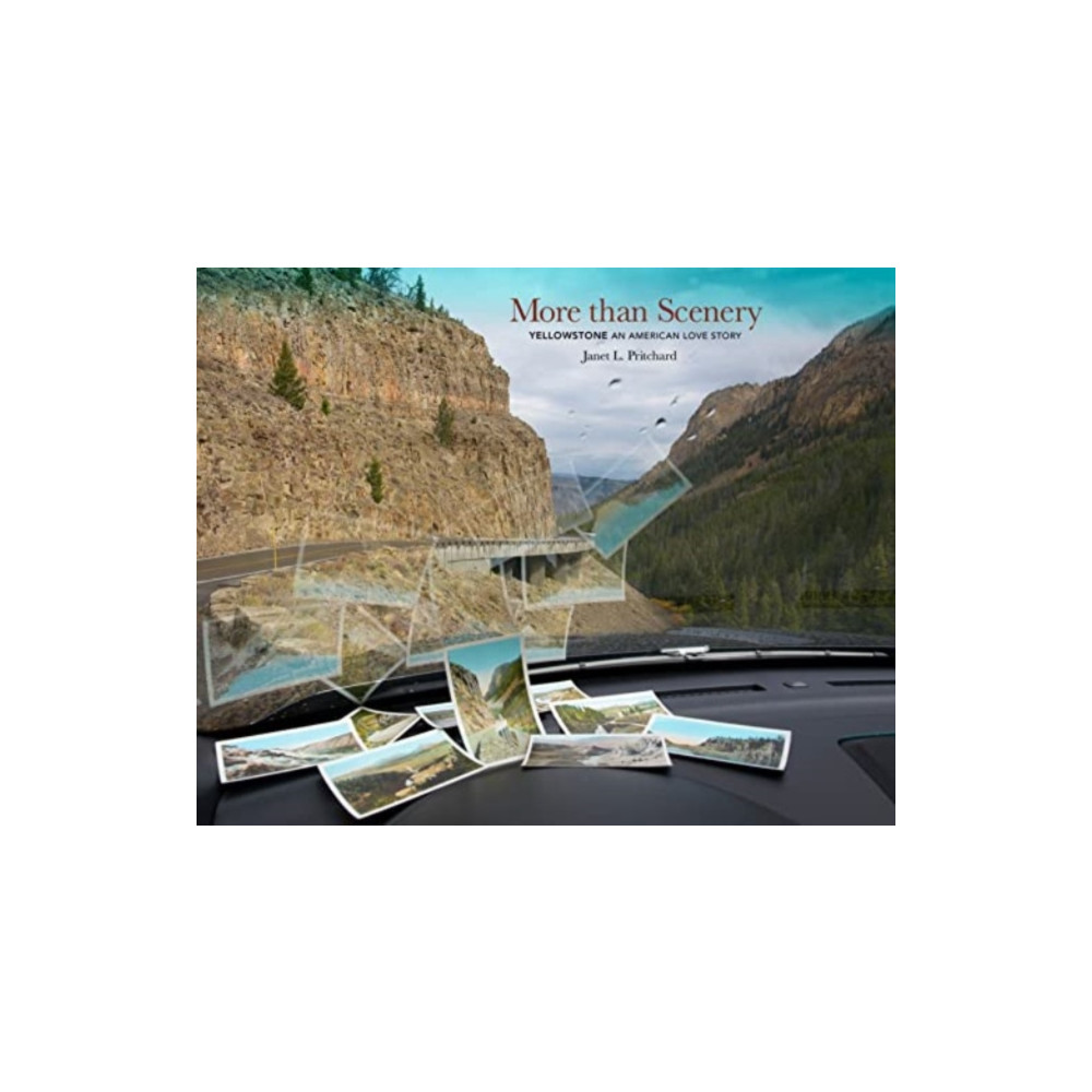 Produktbild för More than Scenery (inbunden, eng)