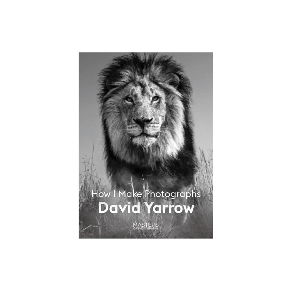 Produktbild för David Yarrow (häftad, eng)