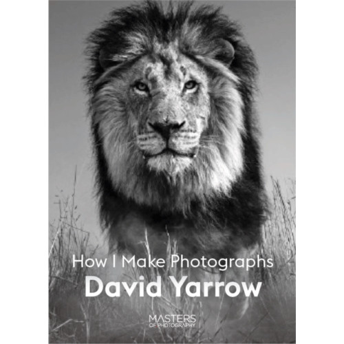 Orion Publishing Co David Yarrow (häftad, eng)