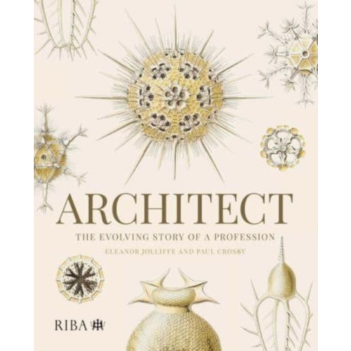 RIBA Publishing Architect: The evolving story of a profession (häftad, eng)
