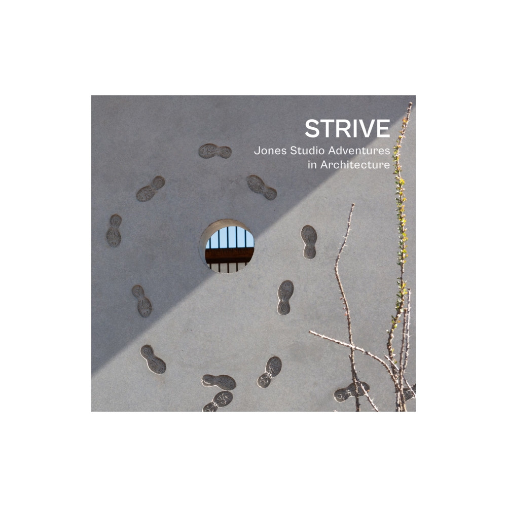 Produktbild för Strive (inbunden, eng)