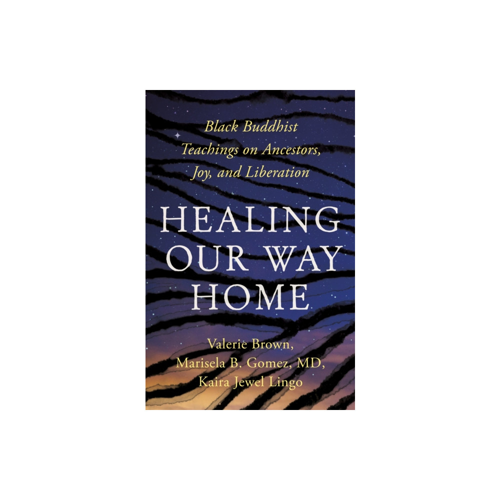 Produktbild för Healing Our Way Home (häftad, eng)
