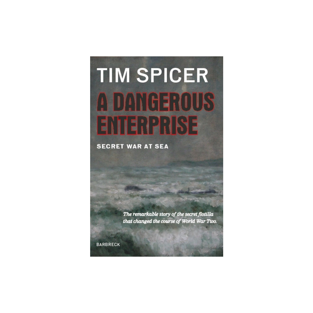 Produktbild för A Dangerous Enterprise (inbunden, eng)