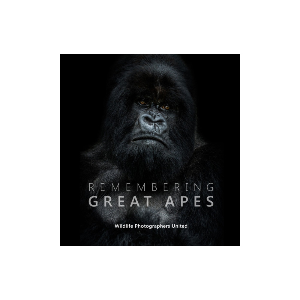 Produktbild för Remembering Great Apes (inbunden, eng)