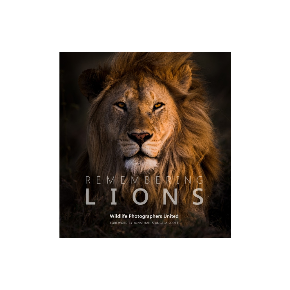 Produktbild för Remembering Lions (inbunden, eng)