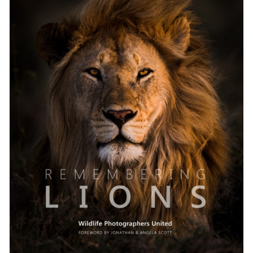 Remembering Wildlife Remembering Lions (inbunden, eng)
