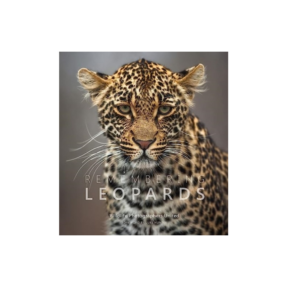 Produktbild för Remembering Leopards (inbunden, eng)
