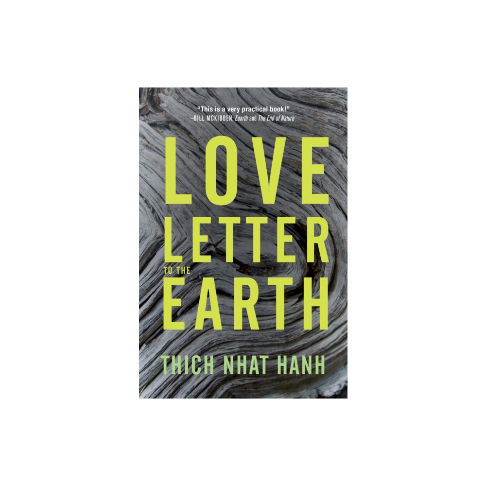 Produktbild för Love Letter to the Earth (häftad, eng)