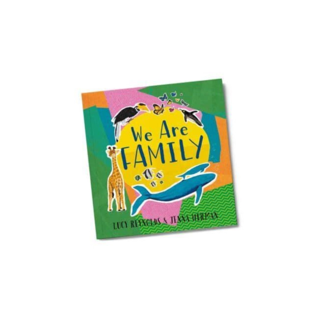 Produktbild för We Are Family (häftad, eng)