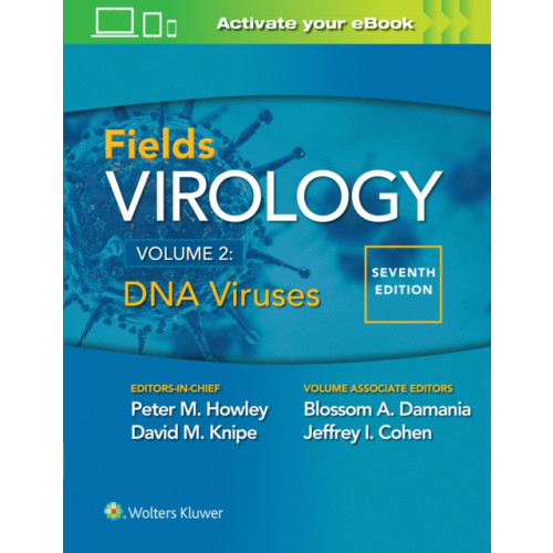 Wolters Kluwer Health Fields Virology: DNA Viruses (inbunden, eng)