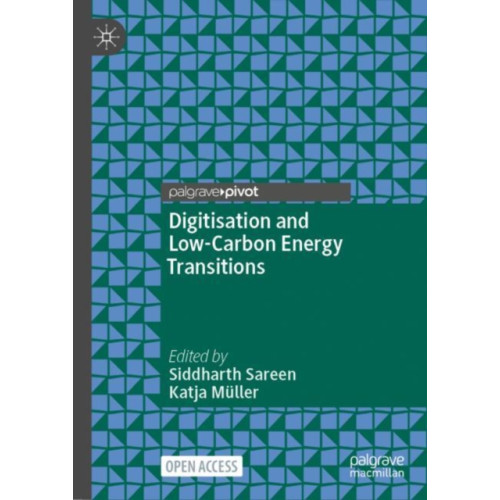 Springer International Publishing AG Digitisation and Low-Carbon Energy Transitions (inbunden, eng)