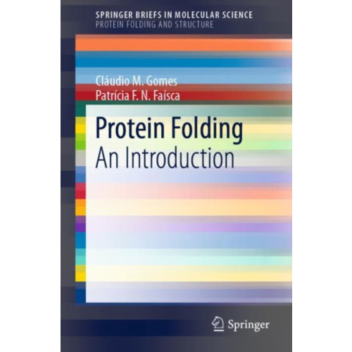 Springer International Publishing AG Protein Folding (häftad, eng)