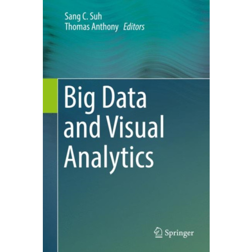 Springer International Publishing AG Big Data and Visual Analytics (inbunden, eng)