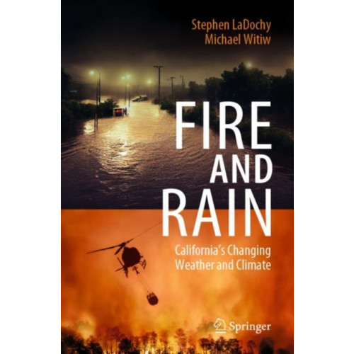 Springer International Publishing AG Fire and Rain (häftad, eng)