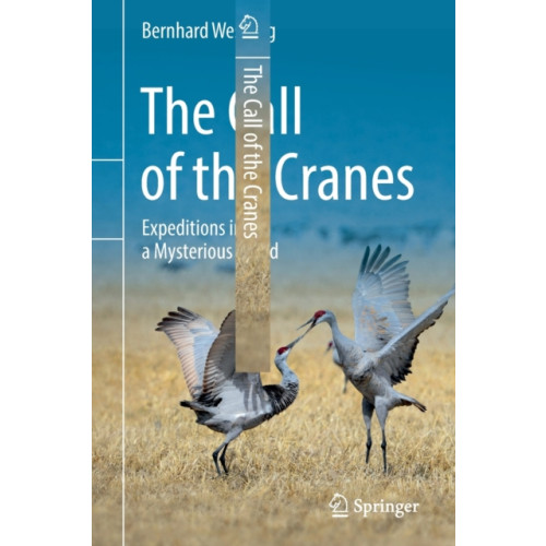 Springer Nature Switzerland AG The Call of the Cranes (häftad, eng)