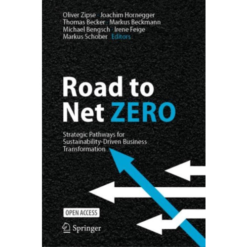 Springer International Publishing AG Road to Net Zero (inbunden, eng)