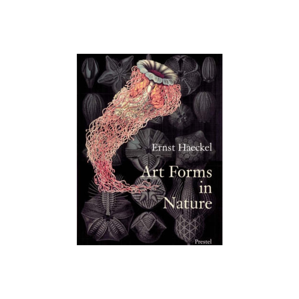 Produktbild för Art Forms in Nature (häftad, eng)