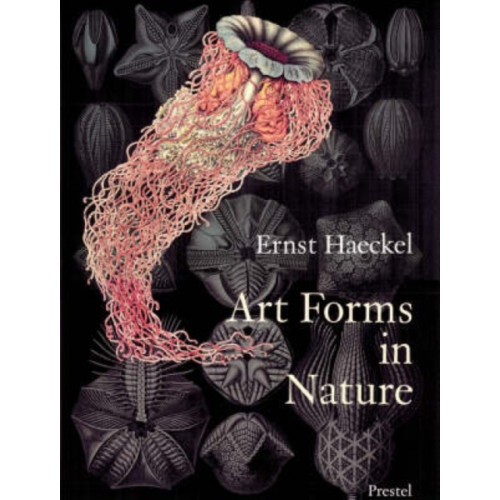 Prestel Art Forms in Nature (häftad, eng)