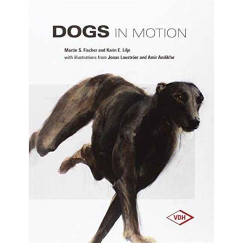 First Stone Publishing Dogs in Motion (inbunden, eng)