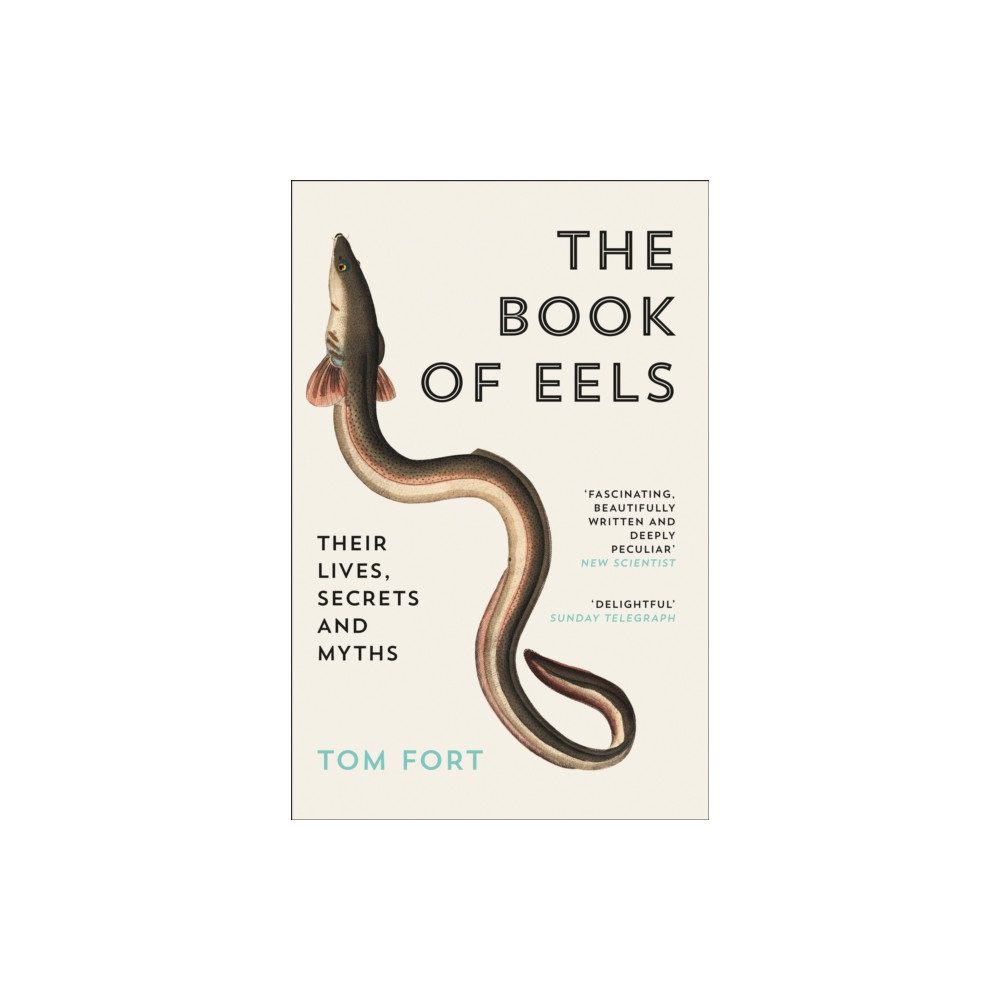 Produktbild för The Book of Eels (häftad, eng)
