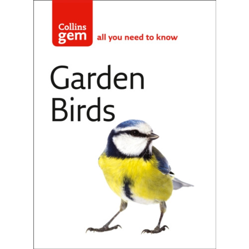 HarperCollins Publishers Garden Birds (häftad, eng)