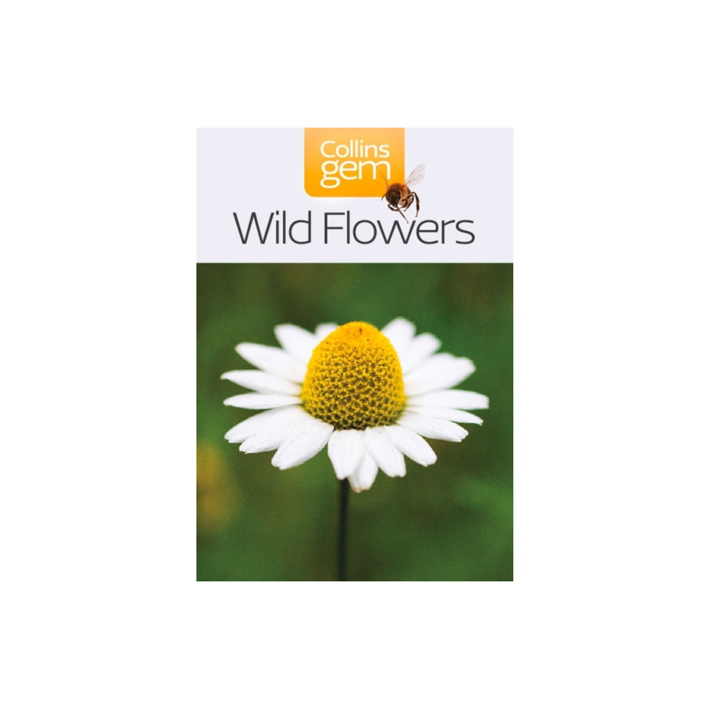Produktbild för Wild Flowers (häftad, eng)