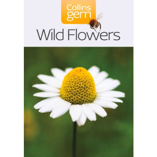 HarperCollins Publishers Wild Flowers (häftad, eng)