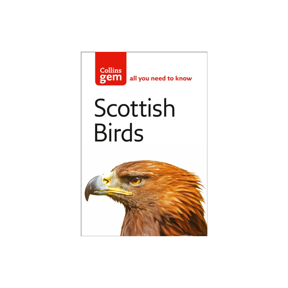 Produktbild för Scottish Birds (häftad, eng)