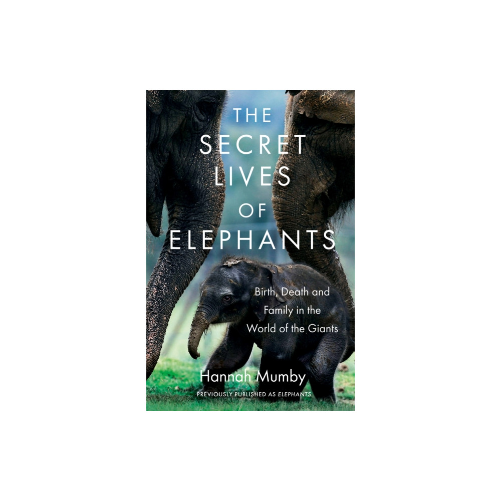 Produktbild för The Secret Lives of Elephants (häftad, eng)