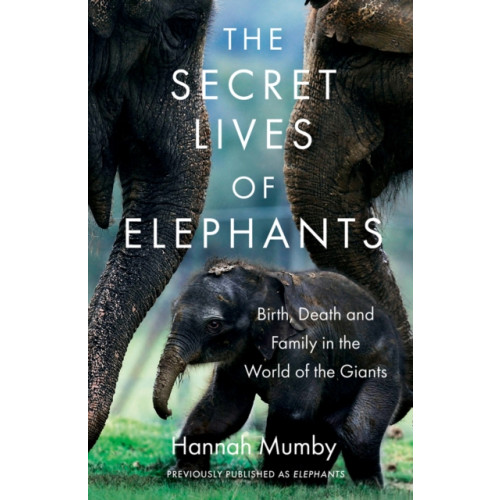 HarperCollins Publishers The Secret Lives of Elephants (häftad, eng)