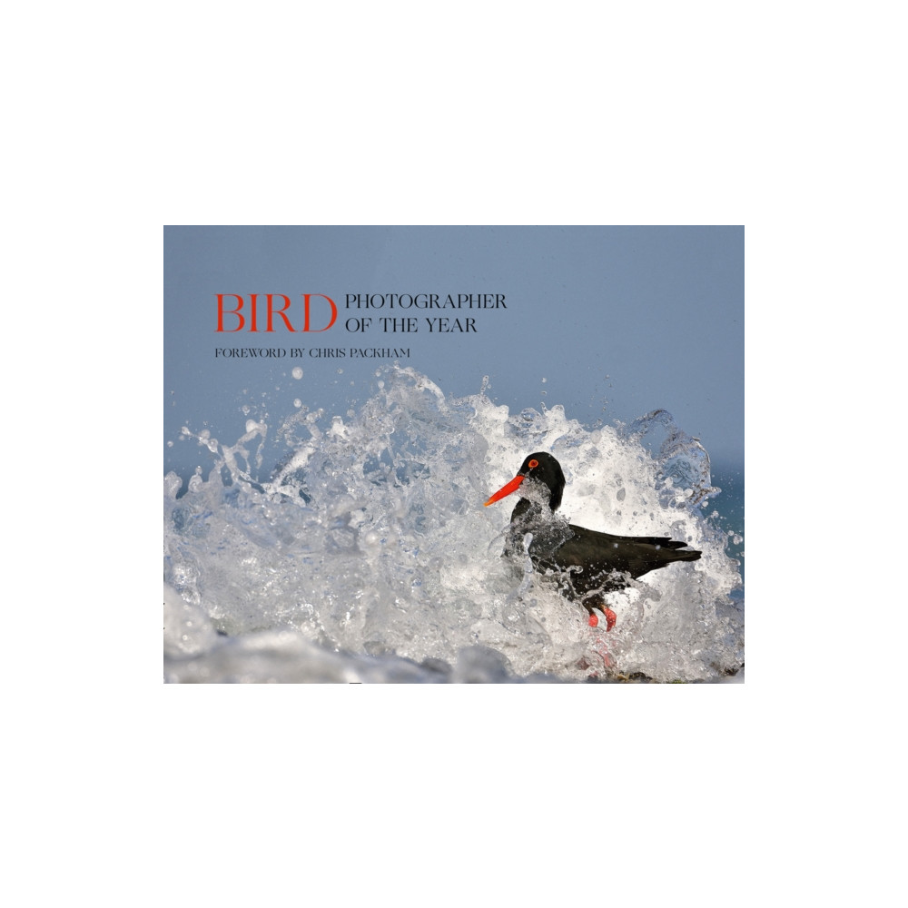Produktbild för Bird Photographer of the Year (inbunden, eng)