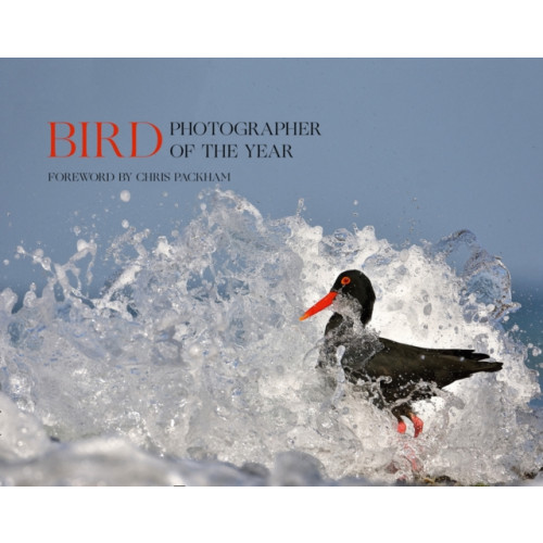 HarperCollins Publishers Bird Photographer of the Year (inbunden, eng)