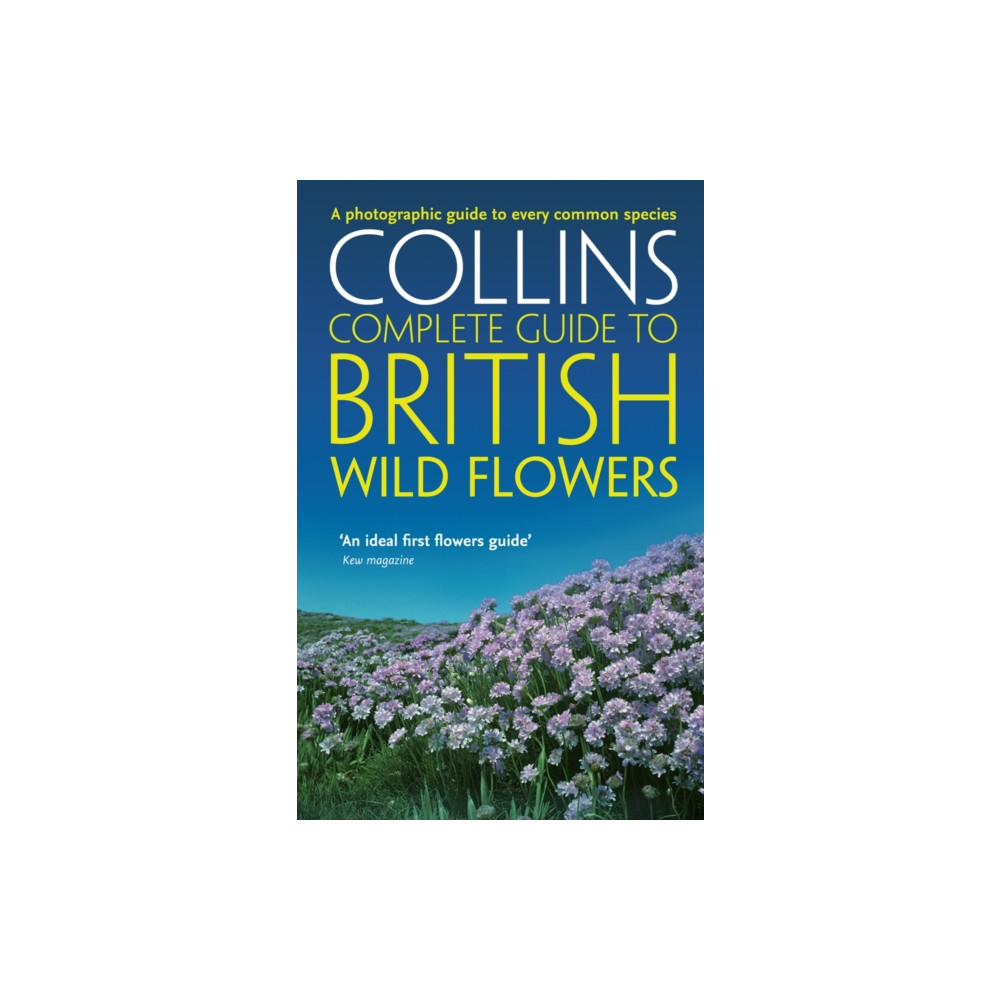 Produktbild för British Wild Flowers (häftad, eng)