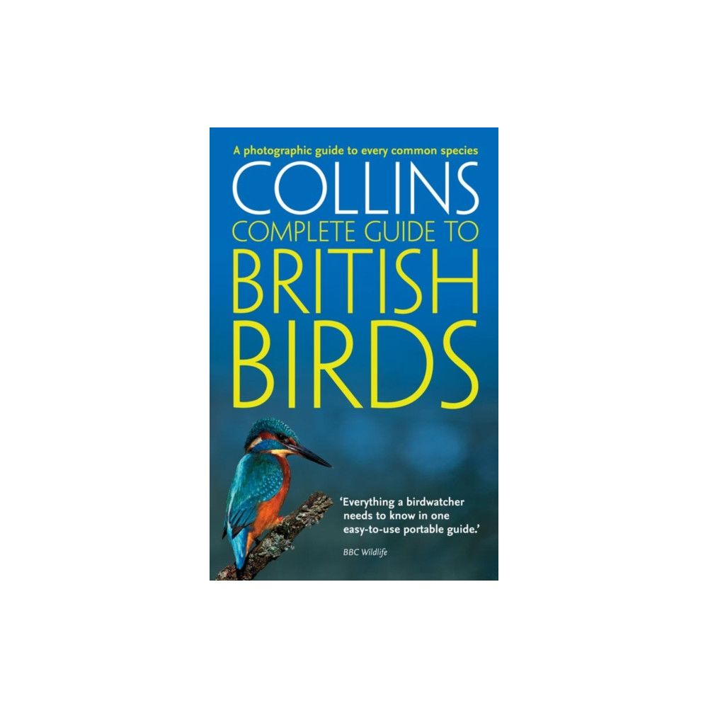 Produktbild för British Birds (häftad, eng)