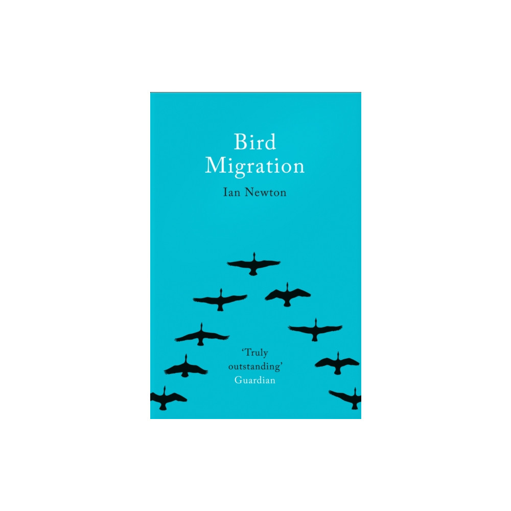 Produktbild för Bird Migration (häftad, eng)