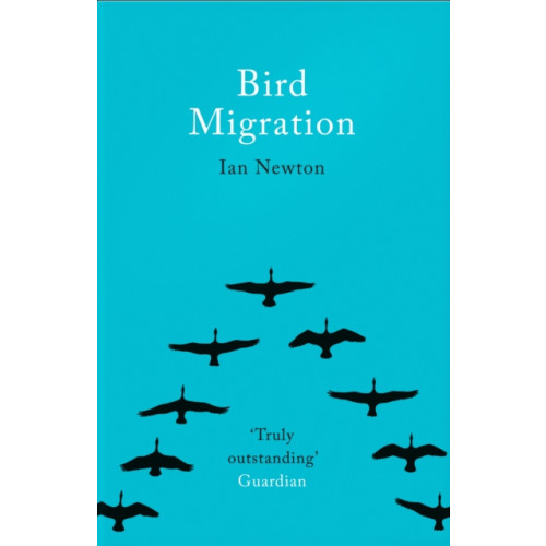 HarperCollins Publishers Bird Migration (häftad, eng)