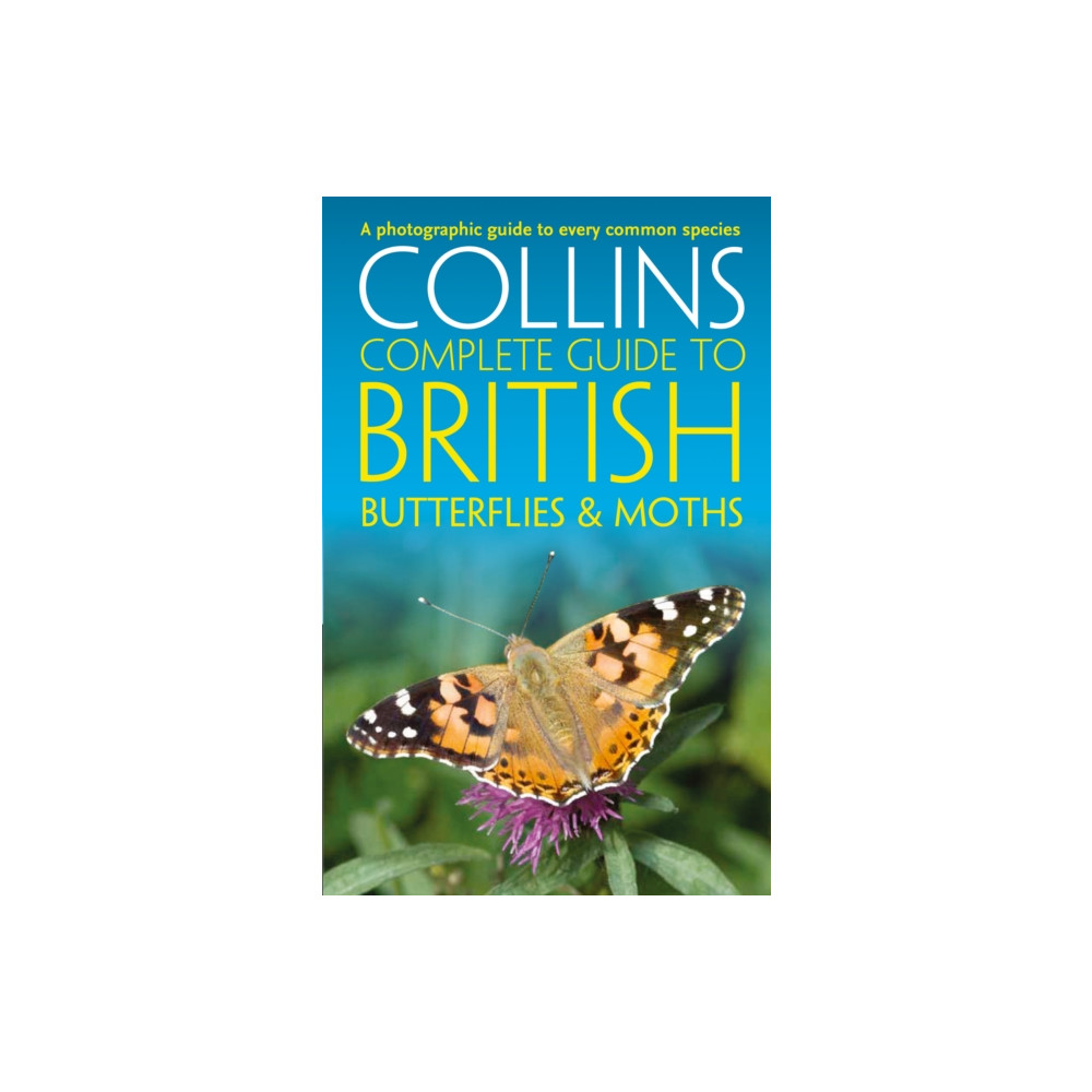 Produktbild för British Butterflies and Moths (häftad, eng)