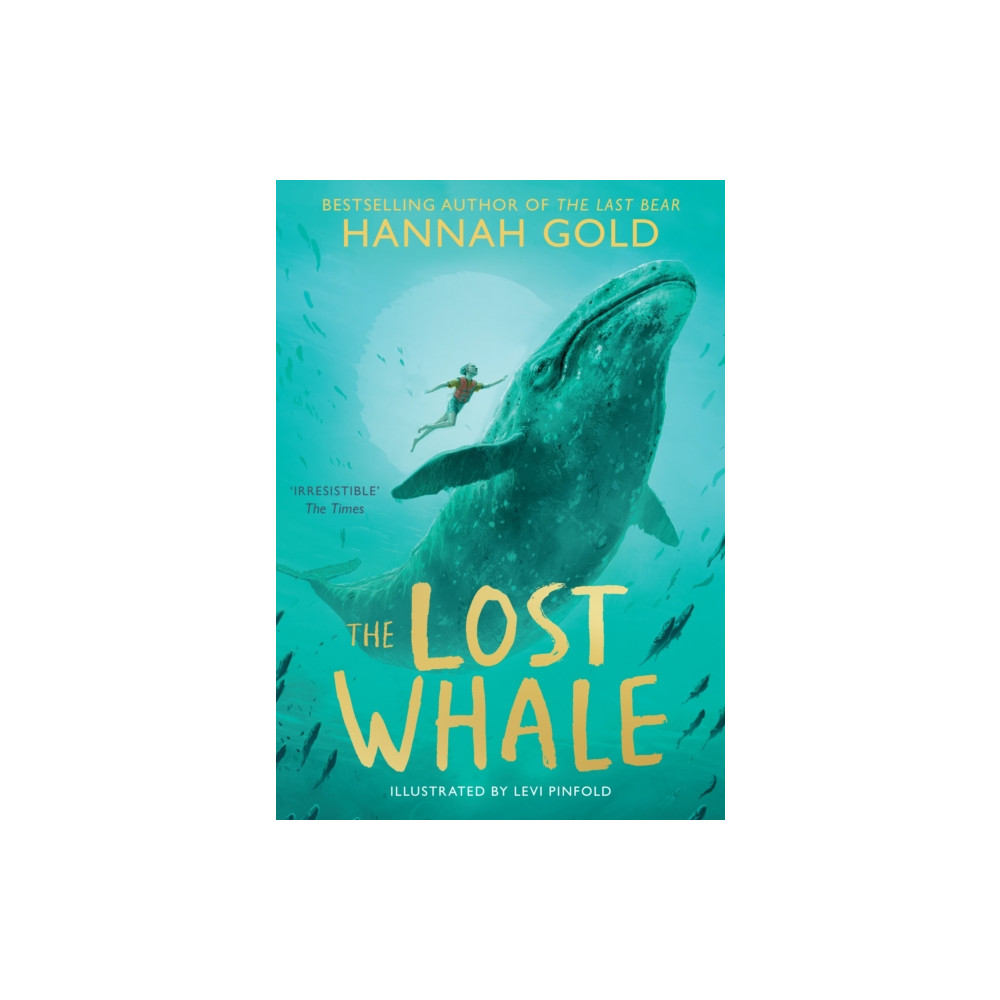 Produktbild för The Lost Whale (häftad, eng)