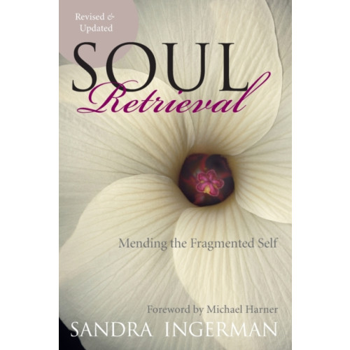 Harpercollins publishers inc Soul Retrieval (häftad, eng)