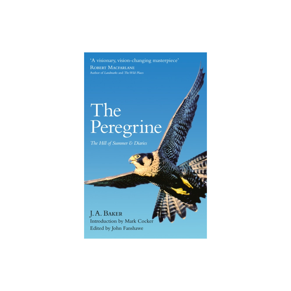 Produktbild för The Peregrine (häftad, eng)