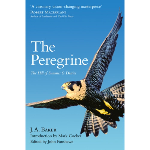 HarperCollins Publishers The Peregrine (häftad, eng)