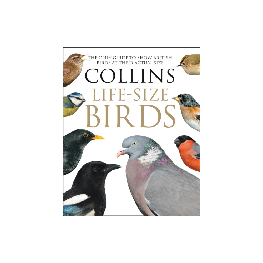 Produktbild för Collins Life-Size Birds (inbunden, eng)