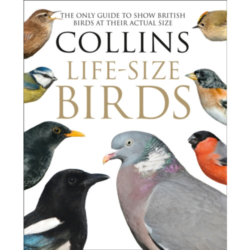 HarperCollins Publishers Collins Life-Size Birds (inbunden, eng)